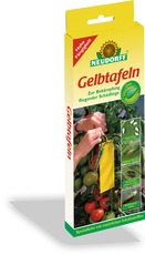 Gelbtafeln, klein