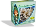Meerrettich für Pflanzen, Schacht