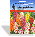 Löwenmäulchen Columbia Mischung, Kiepenkerl