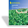 Rauke/Rucola Ruca, Kiepenkerl