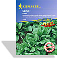 Spinat Emilia, Resistent, Kiepenkerl