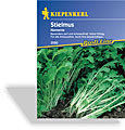 Stielmus Rübstiel Namenia, Kiepenkerl