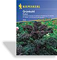 Grünkohl Redbor, Kiepenkerl