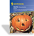 Kürbis, Riesenkürbis Big Max, Kiepenkerl