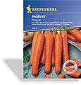 Möhre Flyaway, Tolerant, Kiepenkerl