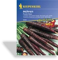 Möhre, Urmöhre Purple Haze, Kiepenkerl