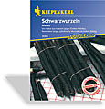 Schwarzwurzel Meres, Tolerant, Kiepenkerl