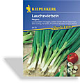 Lauchzwiebel Negaro, Kiepenkerl