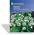 Bärlauch, Kiepenkerl