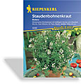 Staudenbohnenkraut Bolero, Kiepenkerl