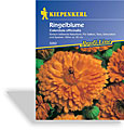 Ringelblume für Tee und Salben, Kiepenkerl