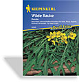 Rauke/Rucola Wilde Rauke, Kiepenkerl