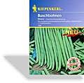 Bohne, Buschbohne Divara, Resistent, Kiepenkerl