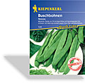 Bohne, Buschbohne Nassau, Resistent, Kiepenkerl