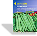 Bohne, Buschbohne Primado, Kiepenkerl