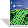 Bohne, Stangenbohne Markant, Kiepenkerl