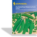 Erbse, Zuckererbse Delikata, Tolerant, Kiepenkerl