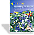 Beeteinfassung Blau + Weiß (Saatband), Kiepenkerl