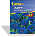Kornblume Blauer Junge, Kiepenkerl