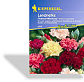 Landnelke Chabaud, Kiepenkerl