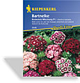 Bartnelke Bodestolz, Kiepenkerl