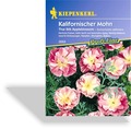 Mohn, kalifornischer Mohn Thai Silk Appleblossom, Kiepenkerl