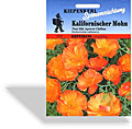 Mohn, kalifornischer Mohn Apricot Chiffon, Kiepenkerl