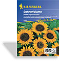 Sonnenblume Sonja, Kiepenkerl