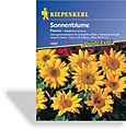 Sonnenblume Pacino, Kiepenkerl