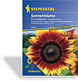Sonnenblume Pro Cut Bicolor, Kiepenkerl
