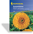 Sonnenblume Santa Fe, Kiepenkerl