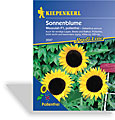Sonnenblume Mezzulah, Kiepenkerl