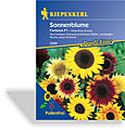 Sonnenblume Fantasia-Mix, Kiepenkerl
