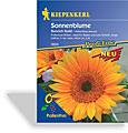 Sonnenblume Sunrich Gold, Kiepenkerl