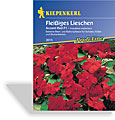 Fleißiges Lieschen Accent, Rot, Kiepenkerl