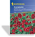 Mohn, Zwergmohn Ladybird, Kiepenkerl