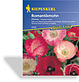 Mohn, Romantikmohn Chorus, Kiepenkerl