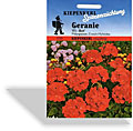 Geranie rot, Kiepenkerl