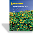 Husarenknopf Gelber Vogel, Kiepenkerl