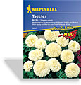 Studentenblume, gefüllte Studentenblume Arctic, Kiepenkerl