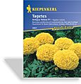 Studentenblume, gefüllte Studentenblume Antigua Yellow, Kiepenkerl