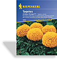 Studentenblume, gefüllte Studentenblume Antigua Orange, Kiepenkerl