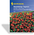 Studentenblume, kleinblütige Luna (Gem) Rot, Kiepenkerl