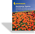 Studentenblume, kleinblütige Luna (Gem) Orange, Kiepenkerl