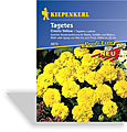 Studentenblume, gefüllte Studentenblume Cresto Yellow, Kiepenkerl