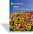 Studentenblume, einfache Studentenblume Disco Flame, Kiepenkerl