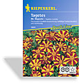 Studentenblume, einfache Studentenblume Mr. Majestic, Kiepenkerl
