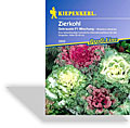 Kohl, Zierkohl Gekrauste Mischung, Kiepenkerl