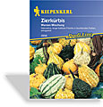Kürbis, Zierkürbis Warzen-Mischung, Kiepenkerl