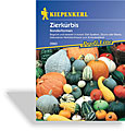 Kürbis, Zierkürbis Sonderformen, Kiepenkerl